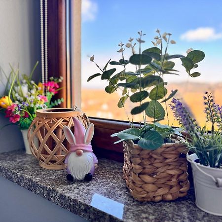 Pokoje U Hani - Sauna, Balia Z Hydromasazem ブコビナ・タトシャンスカ エクステリア 写真